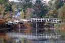 filename=bridge1_web.jpg
filesize=242kib
dimensions=1013x675
date added=jan 26, 2020 bridge1_web.jpg