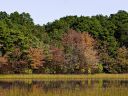 filename=pond_in_the_fall.jpg
filesize=522kib
dimensions=1129x849
date added=jan 26, 2020 pond_in_the_fall.jpg